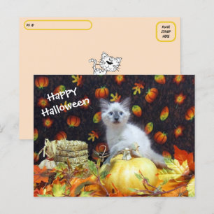 Postcross - Savannahs Halloween-vykort - Katt Vykort
