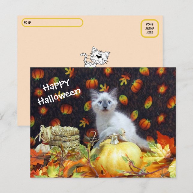 Postcross - Savannahs Halloween-vykort - Katt Vykort (Fram/baksida)