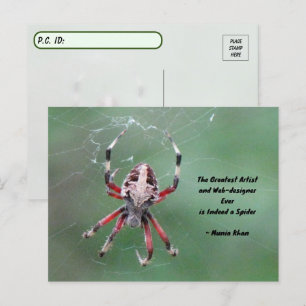 Postcross Spoted Orbweaver Spider Postcard Vykort