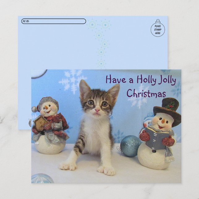 Postcross Taromina Cat - Holly Jolly-jul Vykort (Fram/baksida)