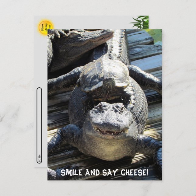 Postcross - Ultimate Florida-vykort Vykort (Fram/baksida)