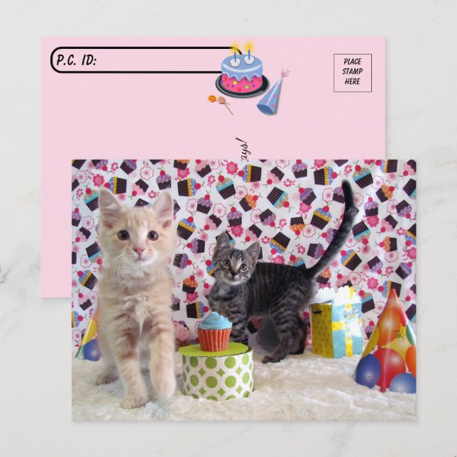 Postcrossing - Allra lyckligaste födelsedag -  Kat Vykort (Fram/baksida)