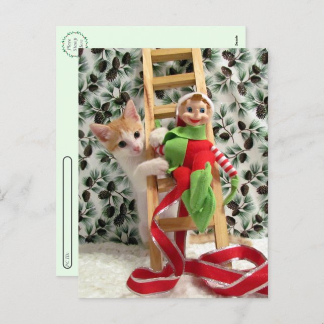 Postcrossing - Annie The Kitten and the Elf  Helg Vykort (Fram/baksida)