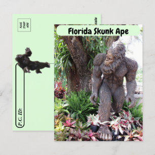 Postcrossing - Bild på Floridas Skogsalv (Skunk Ap Vykort
