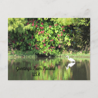 Postcrossing - Greetings from - Egret Landscape Helg Vykort