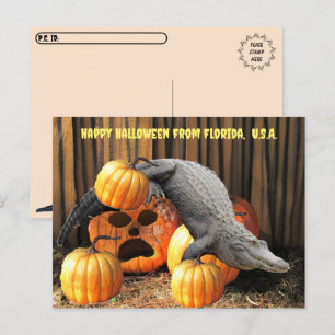 Postcrossing - Halloween Pumpas och Alligator Vykort
