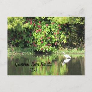 Postcrossing - Hälsningar från - Egret Landskap Helg Vykort