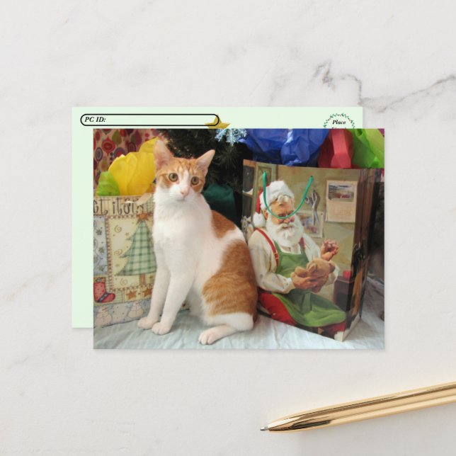 Postcrossing - Kagan katten - Jul  Helg Vykort (Fram/Back In Situ)