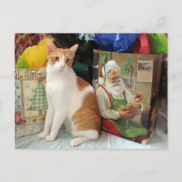 Postcrossing - Kagan the Cat - Christmas Helg Vykort