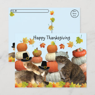 Postcrossing - Katter, pumpor och höstlöv Vykort