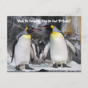 Postcrossing Kungpingviner Roligt Födelsedagskort Vykort