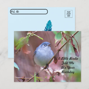 Postcrossing Little Birdie Födelsedagskort Vykort