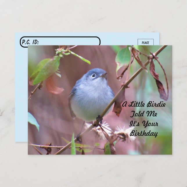 Postcrossing Little Birdie Födelsedagskort Vykort (Fram/baksida)