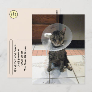 Postcrossing Skamkon - Katt Snart Bättre Postkort Vykort