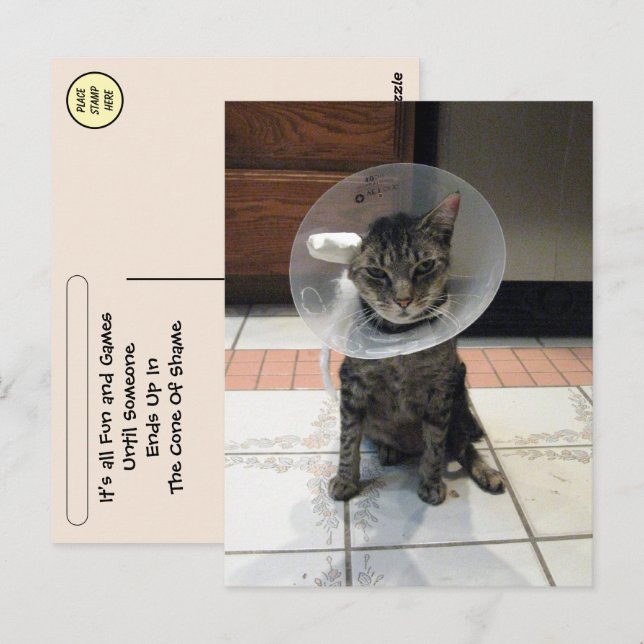 Postcrossing Skamkon - Katt Snart Bättre Postkort Vykort (Fram/baksida)