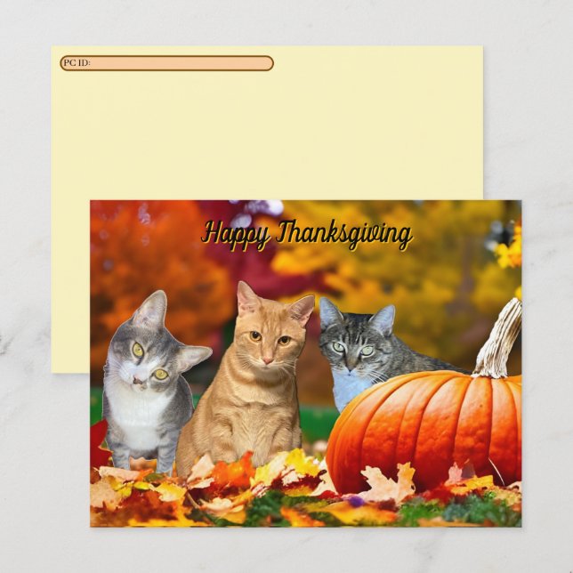 Postcrossing Tito, Taz & Annie's 2025 Thanksgiving Helg Vykort (Fram/baksida)