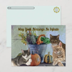 Postcrossing Tito Taz & Annie's 2025 Thanksgiving Helg Vykort