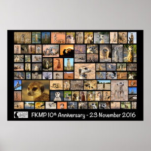 Poster 10-årsdag för FKMP - välj din storleka