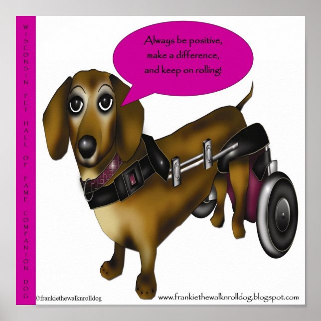 poster 11 X 11 frankie (Framsidan)