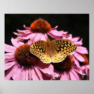 Poster 19 x 15 tum