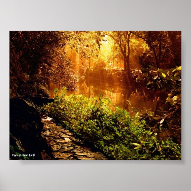 Poster 1 - Natur (Framsidan)