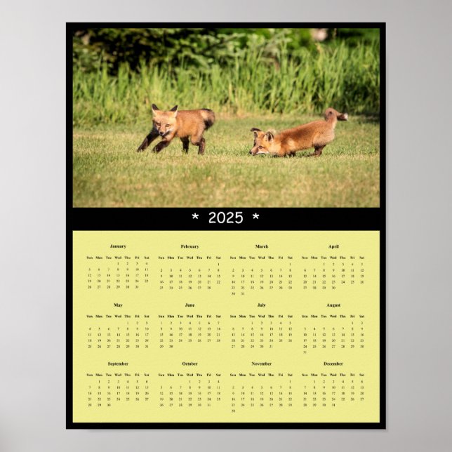 poster 2025 - Röda foxpaket - Väggskalender (Framsidan)