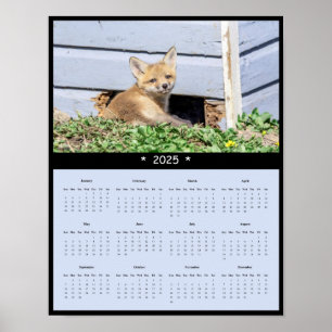 poster 2025 - Röda foxpaket - Väggskalender