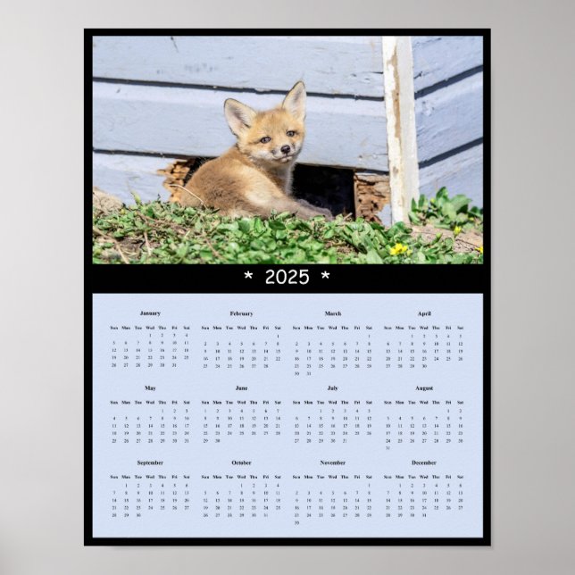 poster 2025 - Röda foxpaket - Väggskalender (Framsidan)