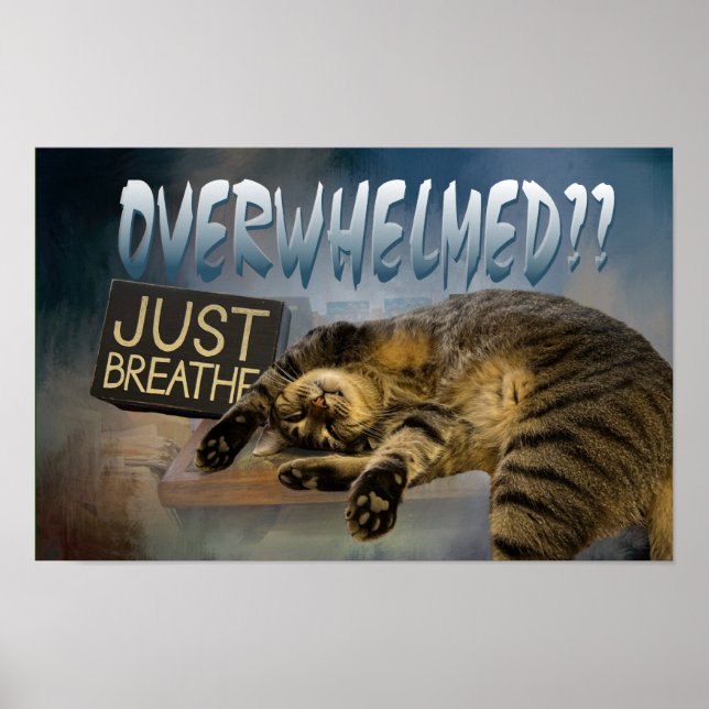 poster 23 bara andas in (Framsidan)