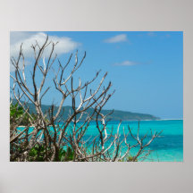 Poster (24" x 18") Vatten Himlar Träd Vanuatu
