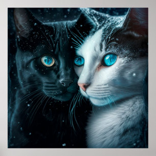 Poster 2 katt
