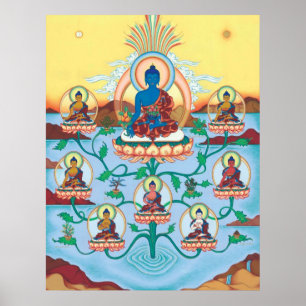 POSTER 8 Medicine Buddhas - från $14,25