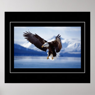 Poster-agle Poster