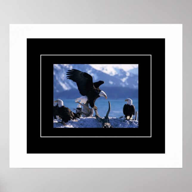 Poster-agles Poster (Framsidan)