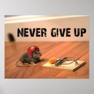Poster aldrig Ge upp mus