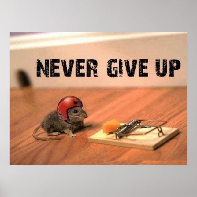 Poster aldrig Ge upp mus (Framsidan)