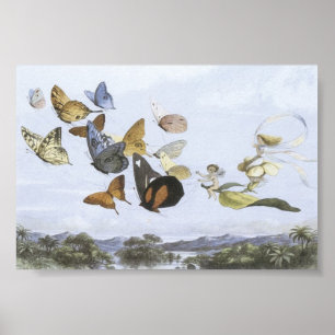 Poster - Älvor Riding Butterflies