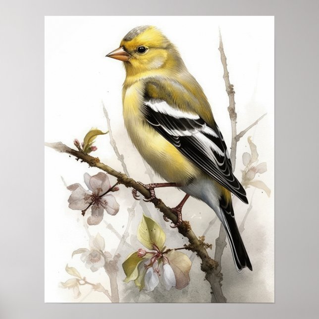 Poster amerikanska Goldfinch Bird Art Print (Framsidan)