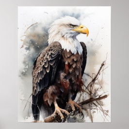 Poster amerikanska Örn Bird Art Print