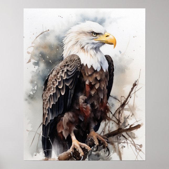 Poster amerikanska Örn Bird Art Print (Framsidan)