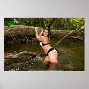 Poster Amira Angel's Animal Shelter Fundraiser