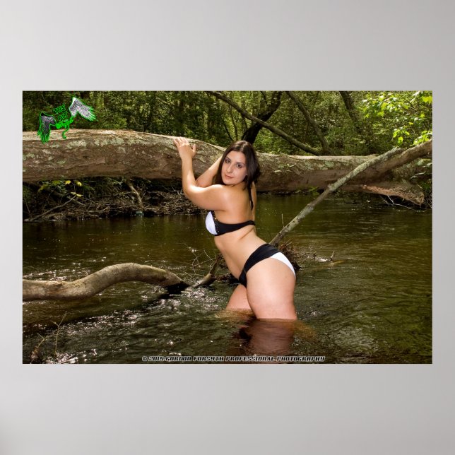Poster Amira Angel's Animal Shelter Fundraiser (Framsidan)