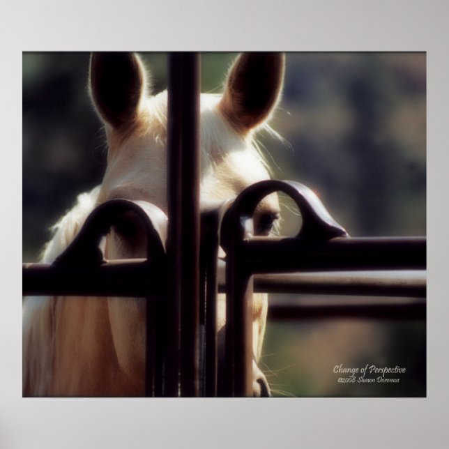 Poster, ändra perspektiv, hora, gård, rodeo poster (Framsidan)