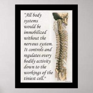 Poster Anpassa offertnavigeringssystem för Chiropr