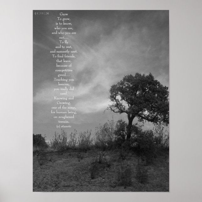 POSTER ART AND DESIGN STYLE  (Framsidan)