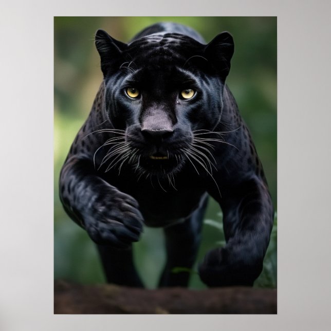 Poster Art Black Leopard (Framsidan)