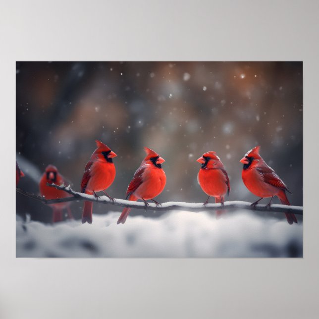 Poster Art Cardinals (Framsidan)