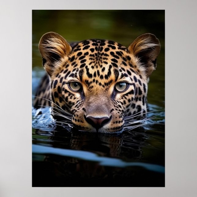 Poster Art Leopard (Framsidan)