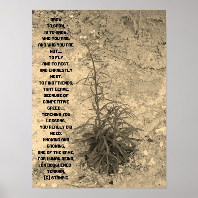 POSTER ART OCH DESIGN STIL (Framsidan)