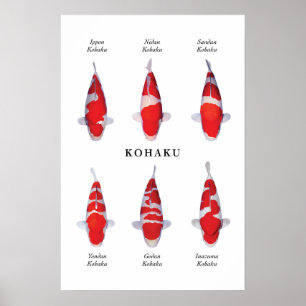 Poster arter av japansk koifisk: Kohaku